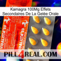 Kamagra 100Mg Effets Secondaires De La Gelée Orale new01